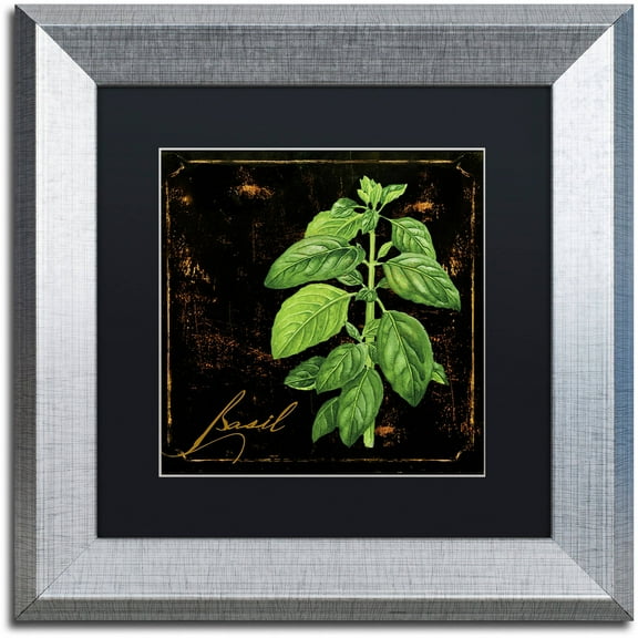 Trademark Fine Art "Black Gold Herbs IV" Canvas Art by Color Bakery Black Matte, Silver Frame