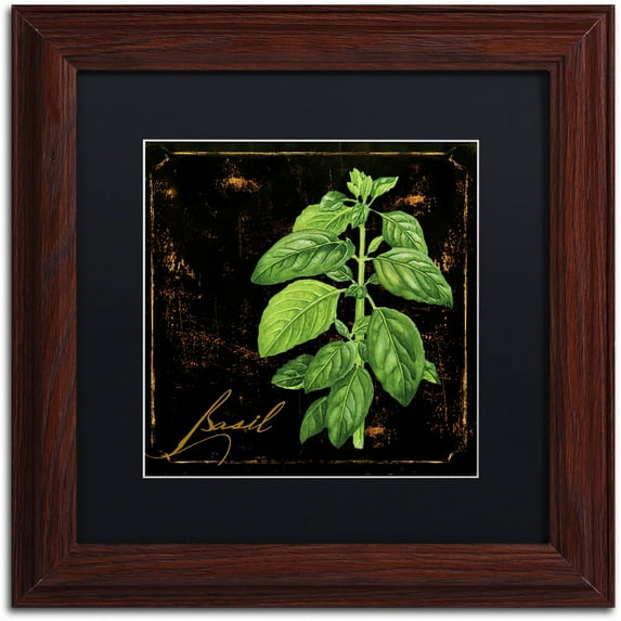 Trademark Fine Art "Black Gold Herbs IV" Canvas Art by Color Bakery Black Matte, Wood Frame