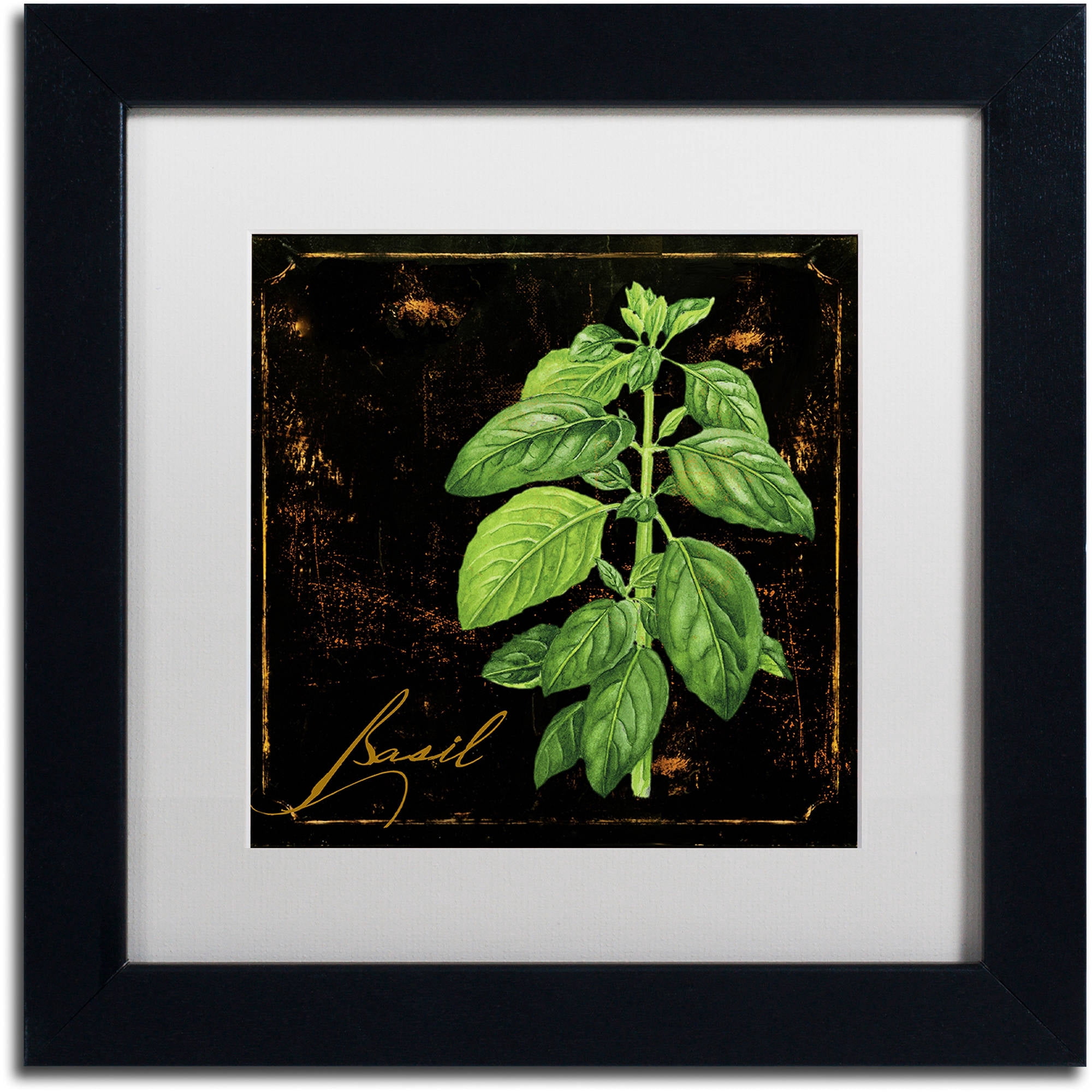 Trademark Fine Art "Black Gold Herbs IV" Canvas Art by Color Bakery White Matte, Black Frame