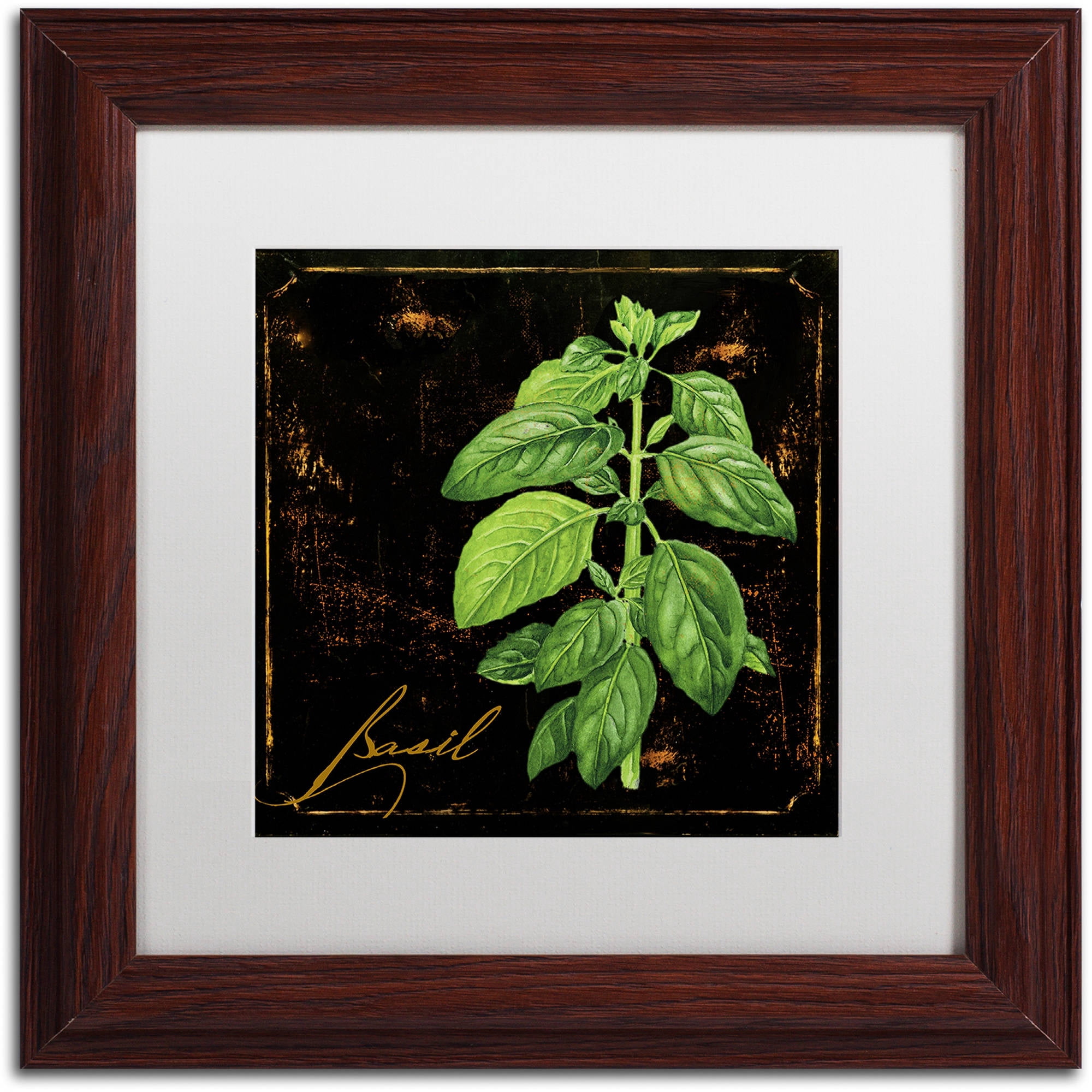 Trademark Fine Art "Black Gold Herbs IV" Canvas Art by Color Bakery White Matte, Wood Frame