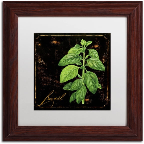 Trademark Fine Art "Black Gold Herbs IV" Canvas Art by Color Bakery White Matte, Wood Frame