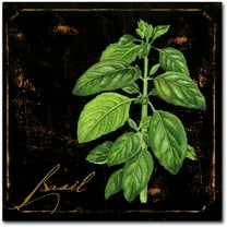 Trademark Fine Art "Black Gold Herbs IV" Canvas Art by Color Bakery