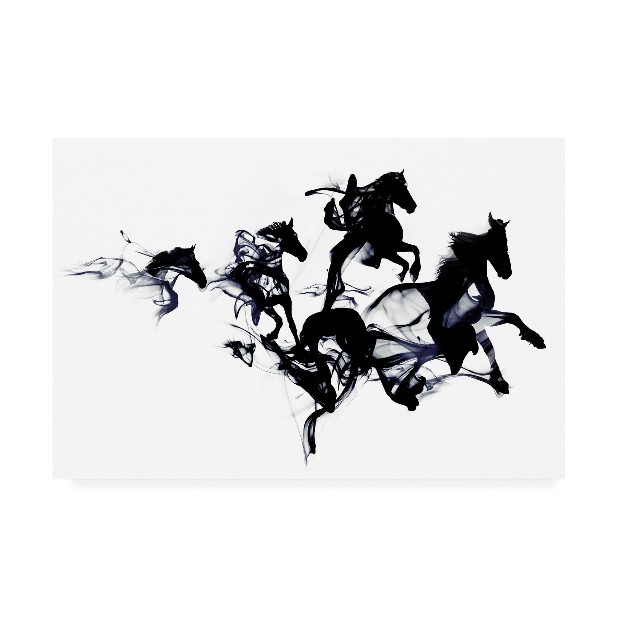 Trademark Fine Art 'Black Horses Abstract' Canvas Art by Robert Farka