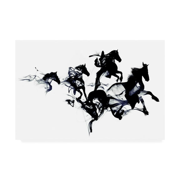 Trademark Fine Art 'Black Horses Abstract' Canvas Art by Robert Farka