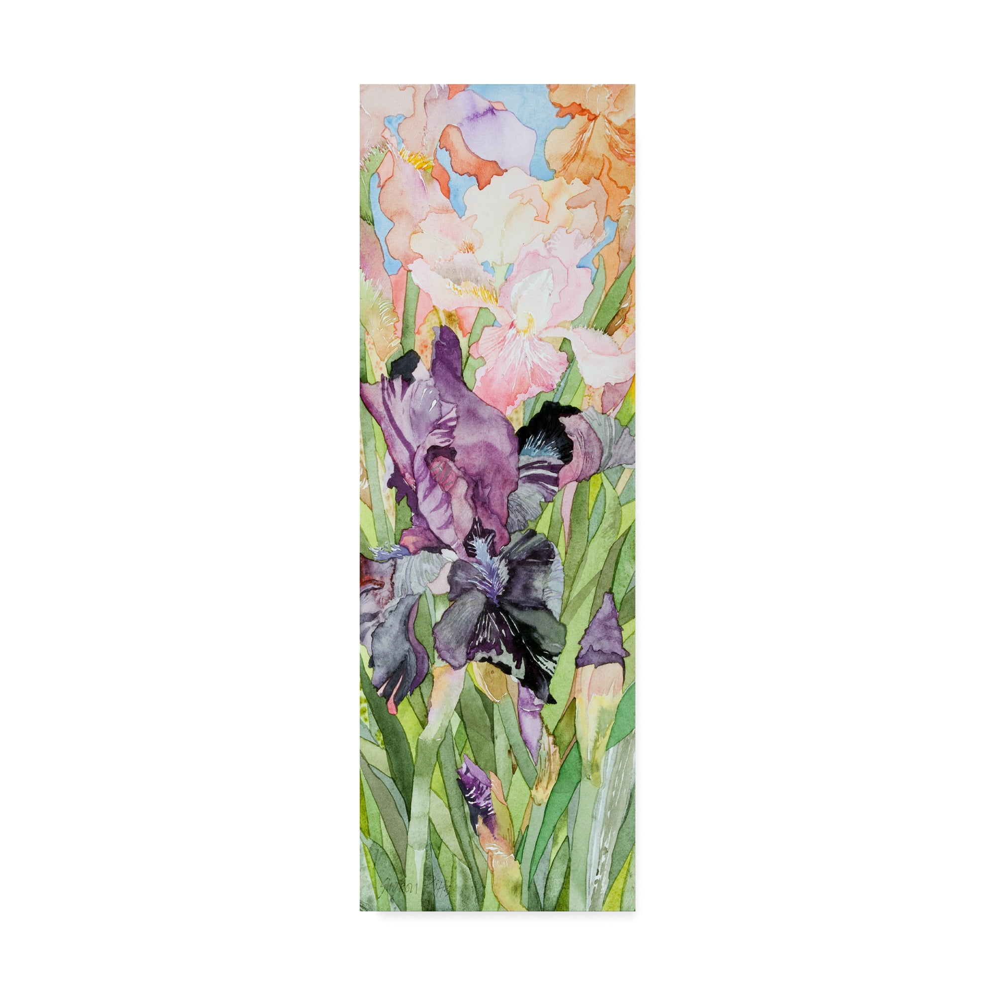 Trademark Fine Art 'Black Iris Colors' Canvas Art by Sharon Pitts