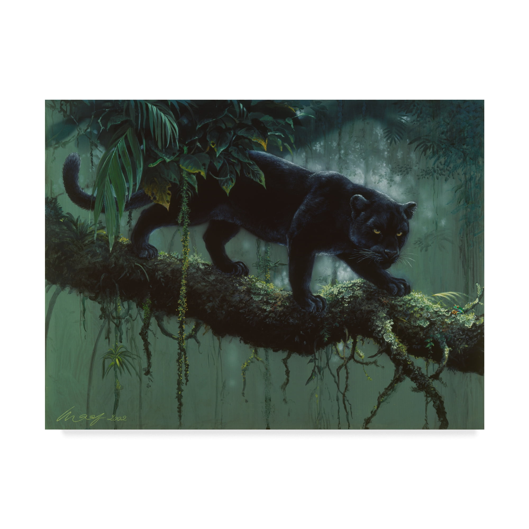 Black Panther Stalking in Jungle Gallery-Wrapped Canvas Art