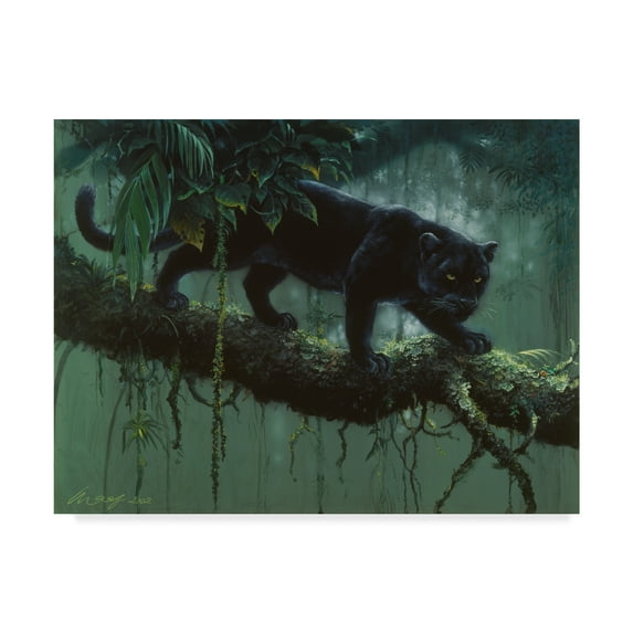 Trademark Fine Art 'Black Jaguar Stalking' Canvas Art by Harro Maass