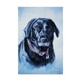 thumbnail image 1 of Trademark Fine Art 'Black Lab' Canvas Art by Rusty Frentner, 1 of 3