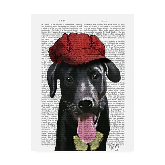 Trademark Fine Art 'Black Labrador With Red Cap' Canvas Art by Fab Funky