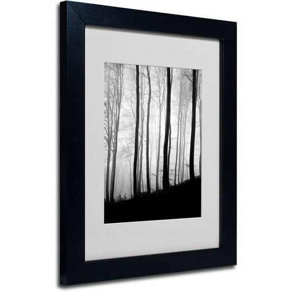 Trademark Fine Art "Black Lines" Canvas Art by Philippe Sainte-Laudy, Black Frame
