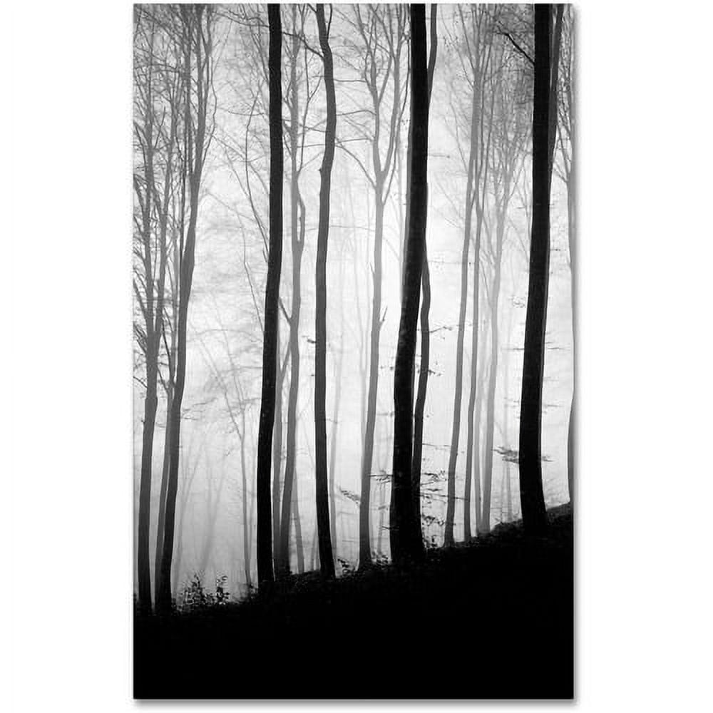 Trademark Fine Art "Black Lines" Canvas Art by Philippe Sainte-Laudy