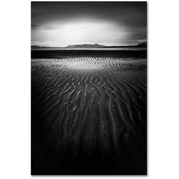 Trademark Fine Art 'Black Magic' Canvas Art by Philippe Sainte-Laudy