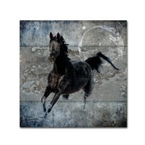 Trademark Fine Art 'Black Mare 1' Canvas Art by LightBoxJournal