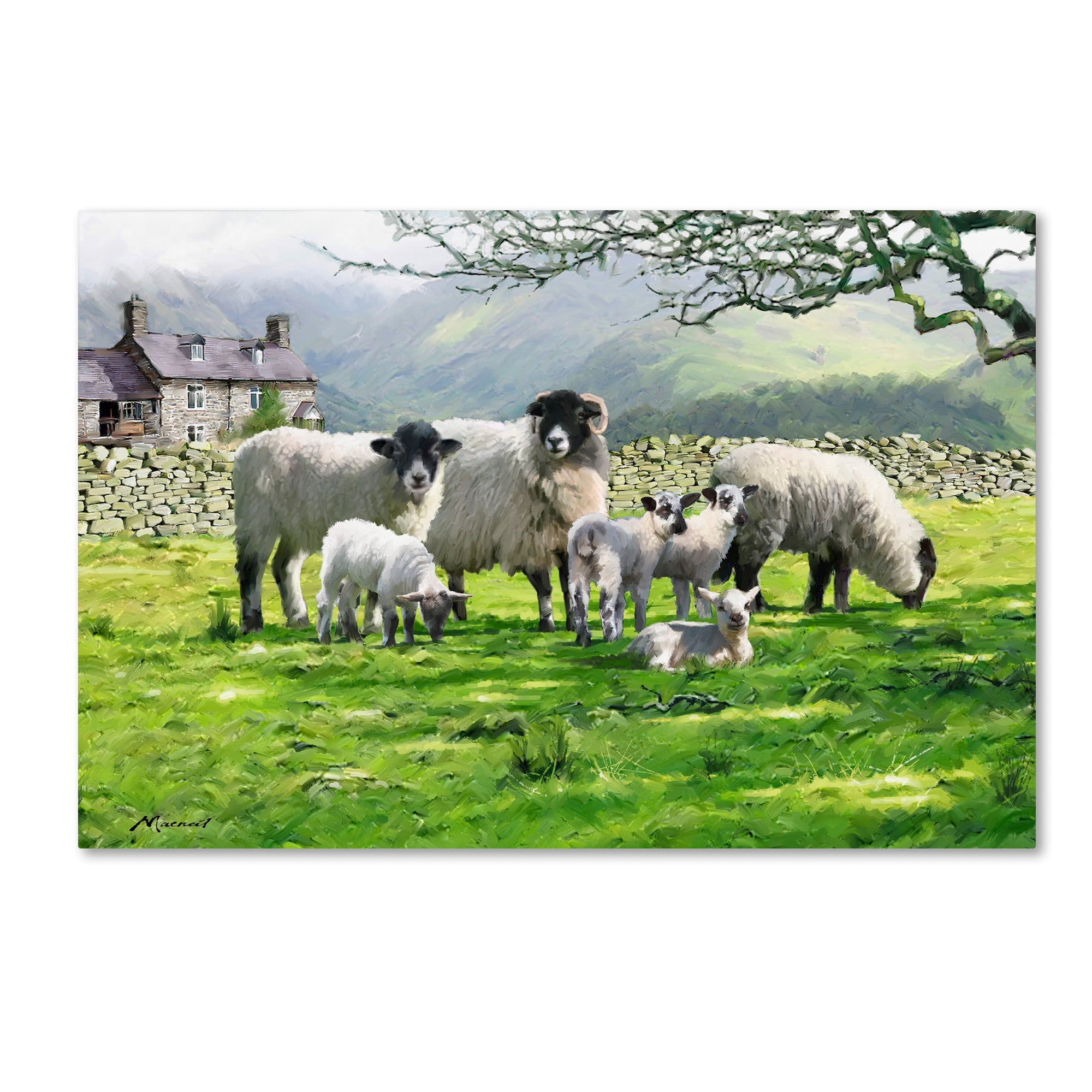 Black Mountain Sheep Landscape Canvas Art in Misty Countryside