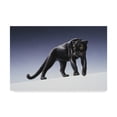thumbnail image 1 of Trademark Fine Art 'Black Panther Light' Canvas Art by Harro Maass, 1 of 3