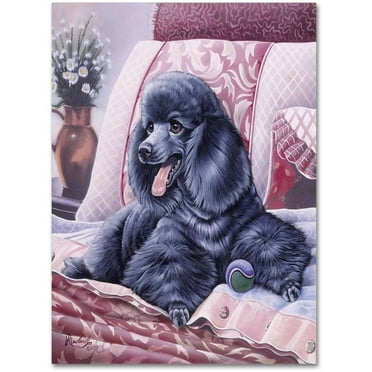 Trademark Fine Art 'Black Poodle' Canvas Art by Jenny Newland