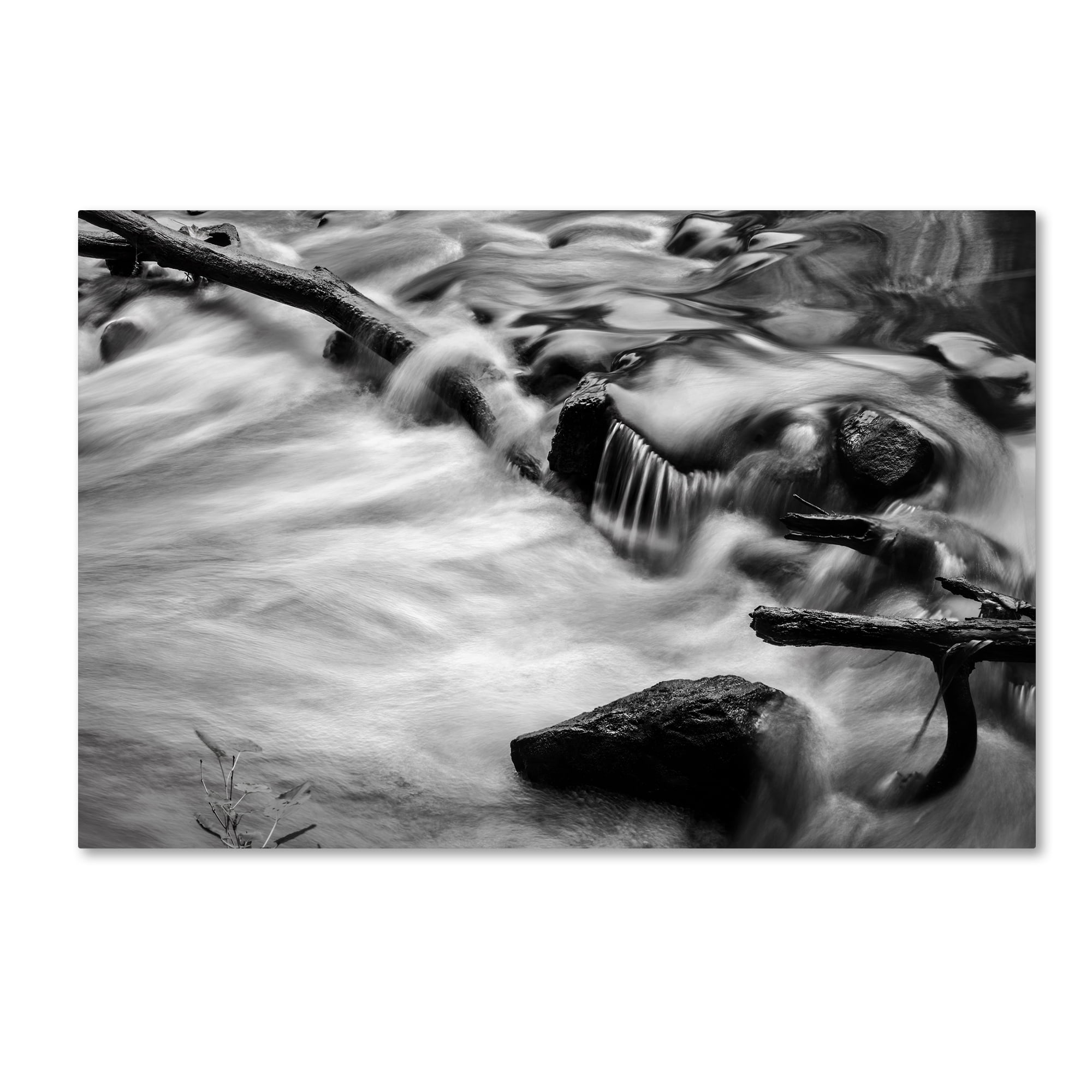Trademark Fine Art "Black River" Canvas Art by Jason Shaffer