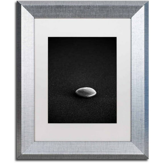 Trademark Fine Art 'Black Stone' Canvas Art by Philippe Sainte-Laudy, White Matte, Silver Frame