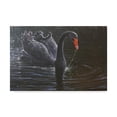 thumbnail image 1 of Trademark Fine Art 'Black Swan In Water' Canvas Art by Michael Jackson, 1 of 3