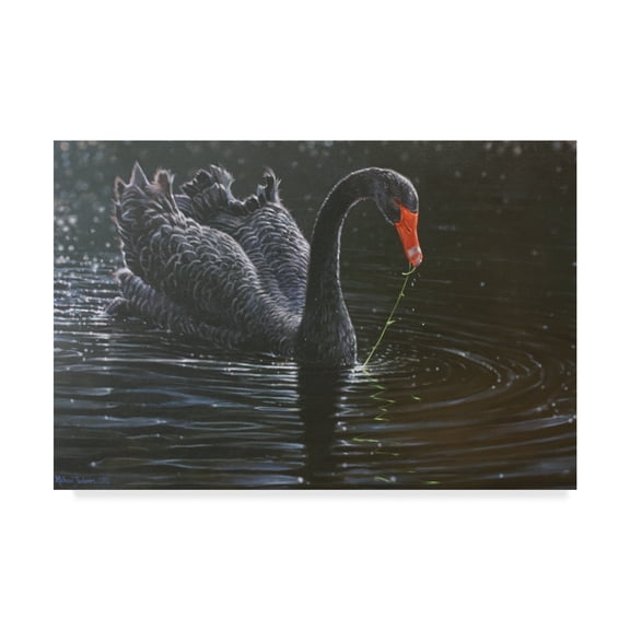 Trademark Fine Art 'Black Swan In Water' Canvas Art by Michael Jackson