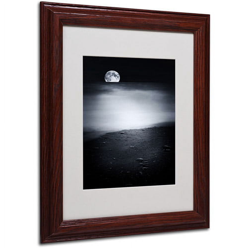 Trademark Fine Art "Black Sweat" Canvas Art by Philippe Sainte-Laudy, Wood Frame