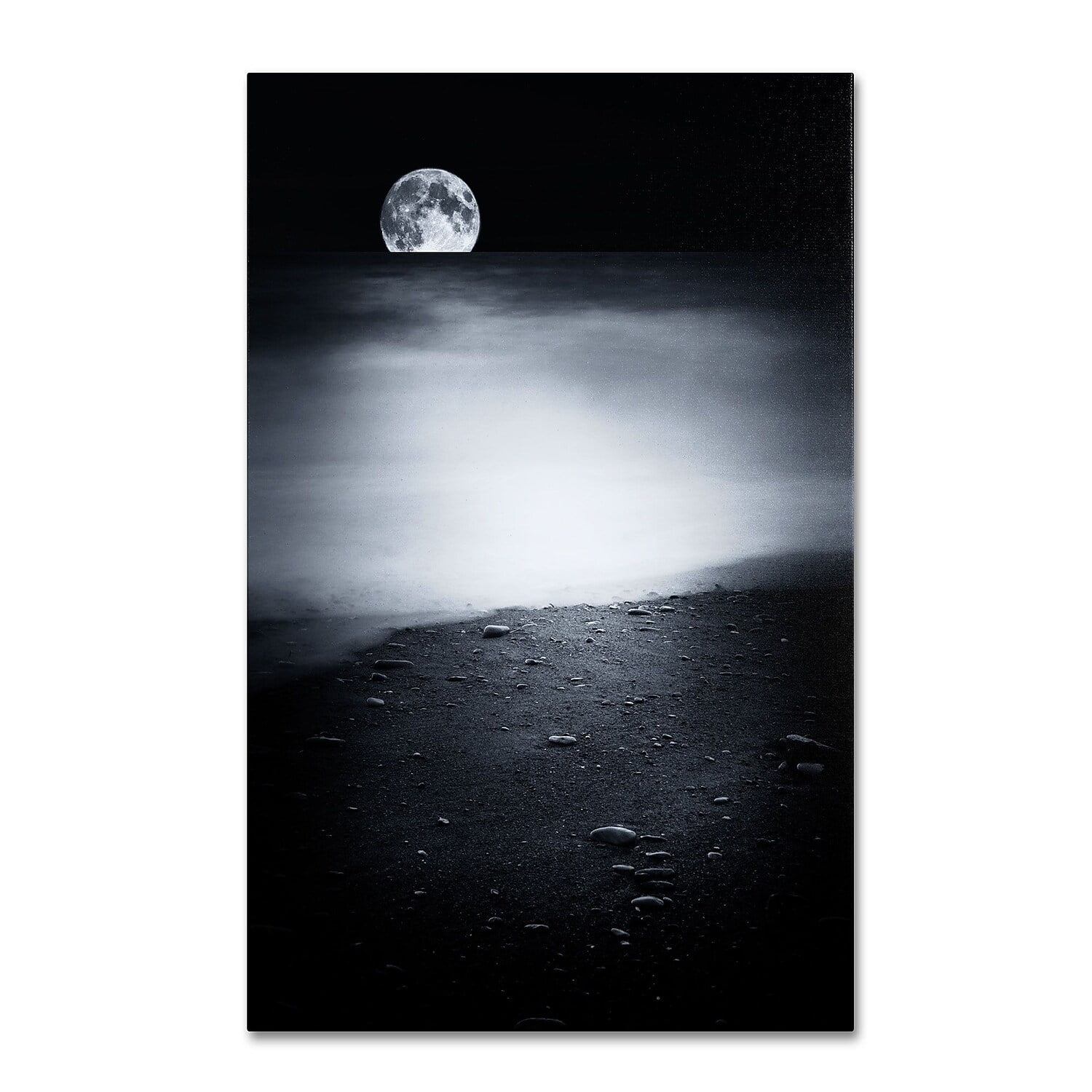 Trademark Fine Art "Black Sweat" Canvas Art by Philippe Sainte-Laudy