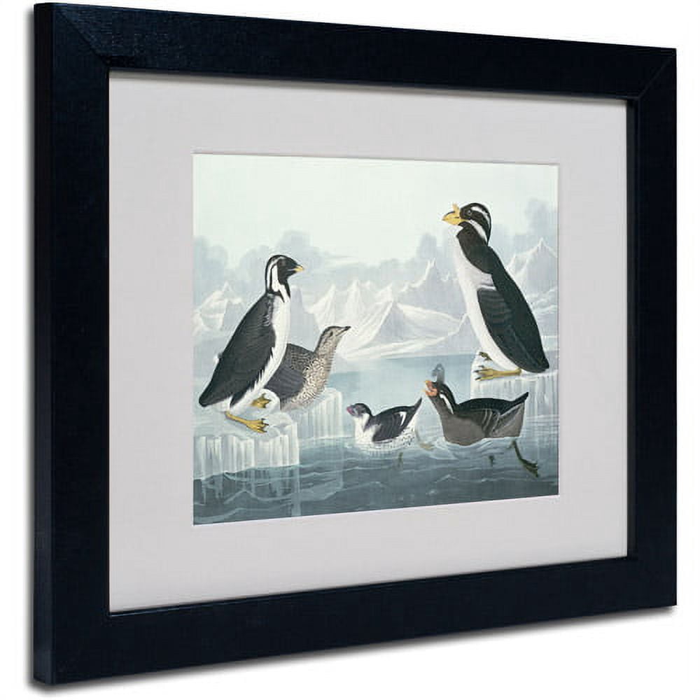 Trademark Fine Art "Black-Throated Guillemot" Canvas Art by John James Audubon, Black Frame