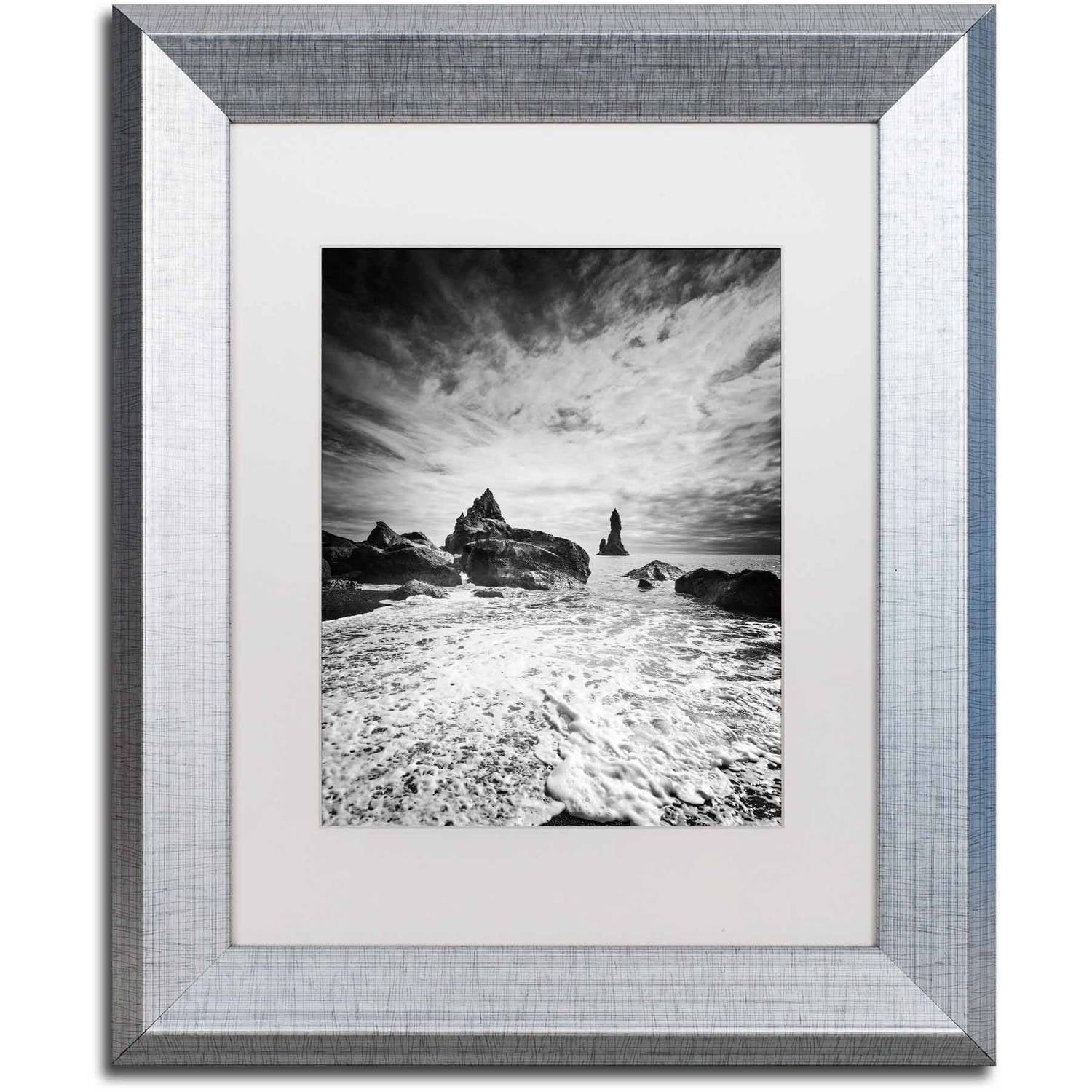 Trademark Fine Art 'Black Tip' Canvas Art by Philippe Sainte-Laudy, White Matte, Silver Frame