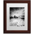 thumbnail image 1 of Trademark Fine Art 'Black Tip' Canvas Art by Philippe Sainte-Laudy, White Matte, Wood Frame, 1 of 1