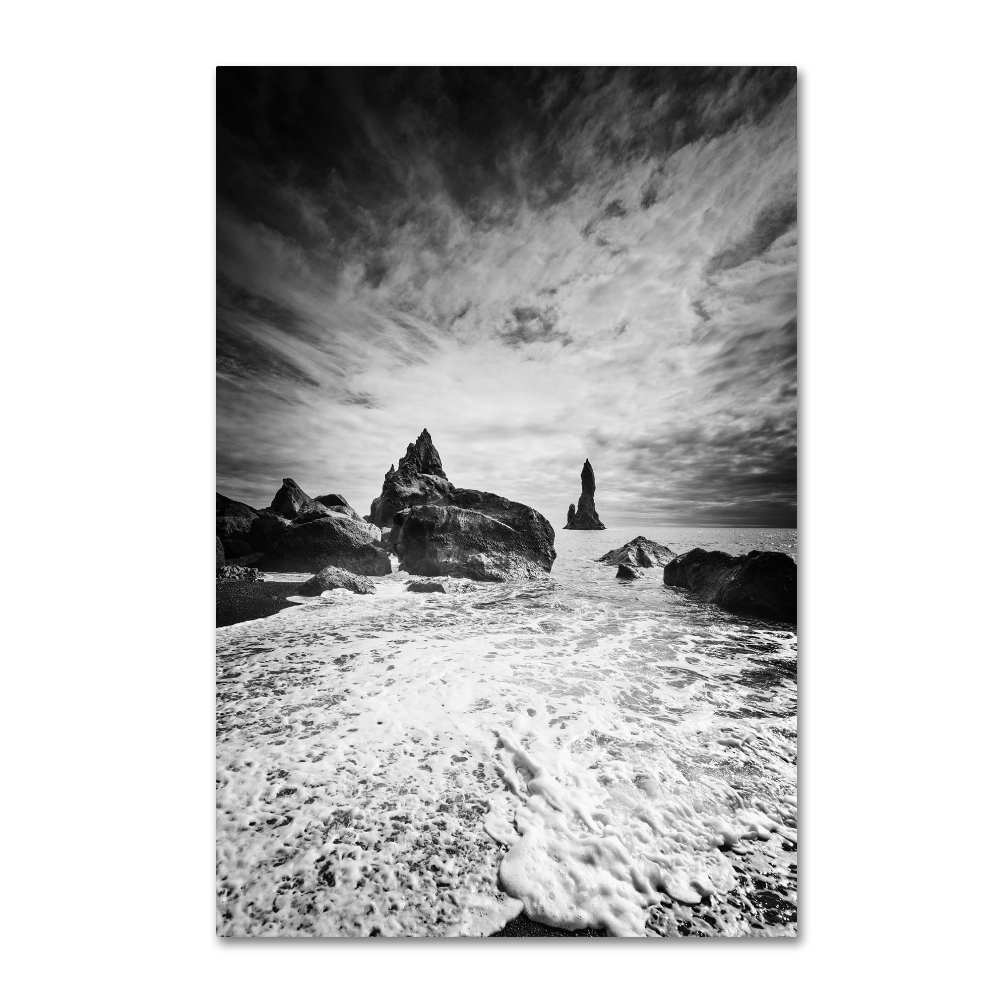 Trademark Fine Art 'Black Tip' Canvas Art by Philippe Sainte-Laudy