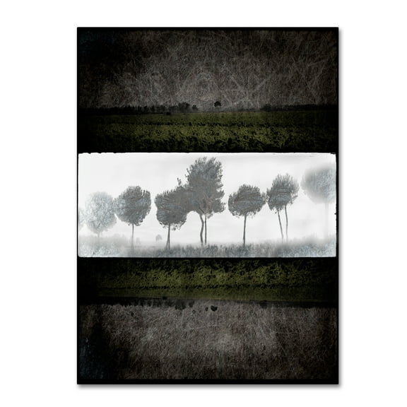 Trademark Fine Art 'Black Tree 2' Canvas Art by LightBoxJournal