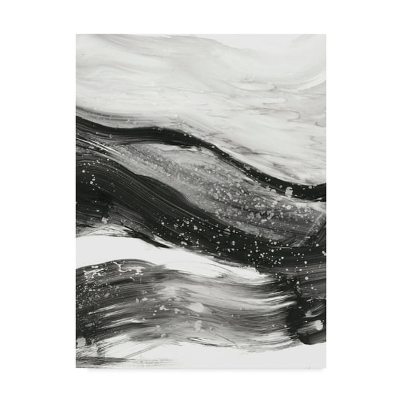 Trademark Fine Art 'Black Waves I' Canvas Art by Ethan Harper