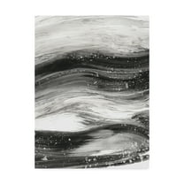 Trademark Fine Art 'Black Waves II' Canvas Art by Ethan Harper