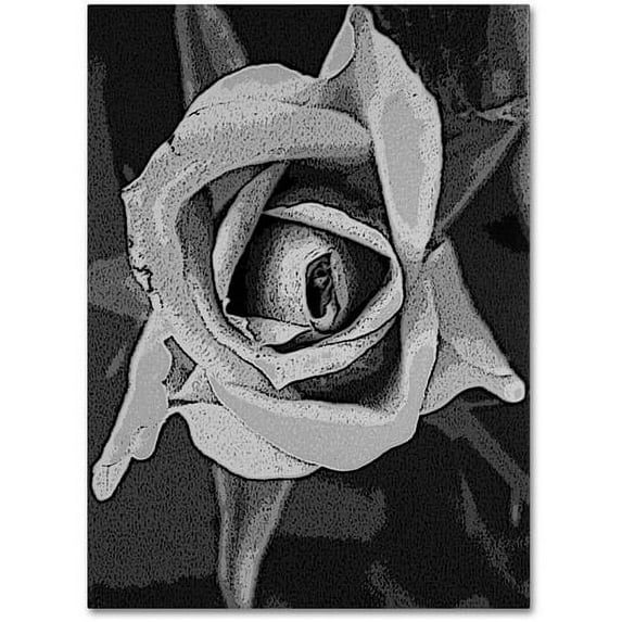 Trademark Fine Art "Black & White Rose" Canvas Wall Art by Patty Tuggle