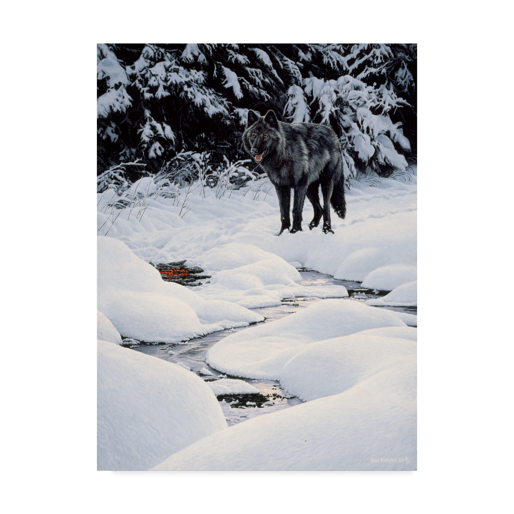 Trademark Fine Art 'Black Wolf And Embers' Canvas Art by Ron Parker