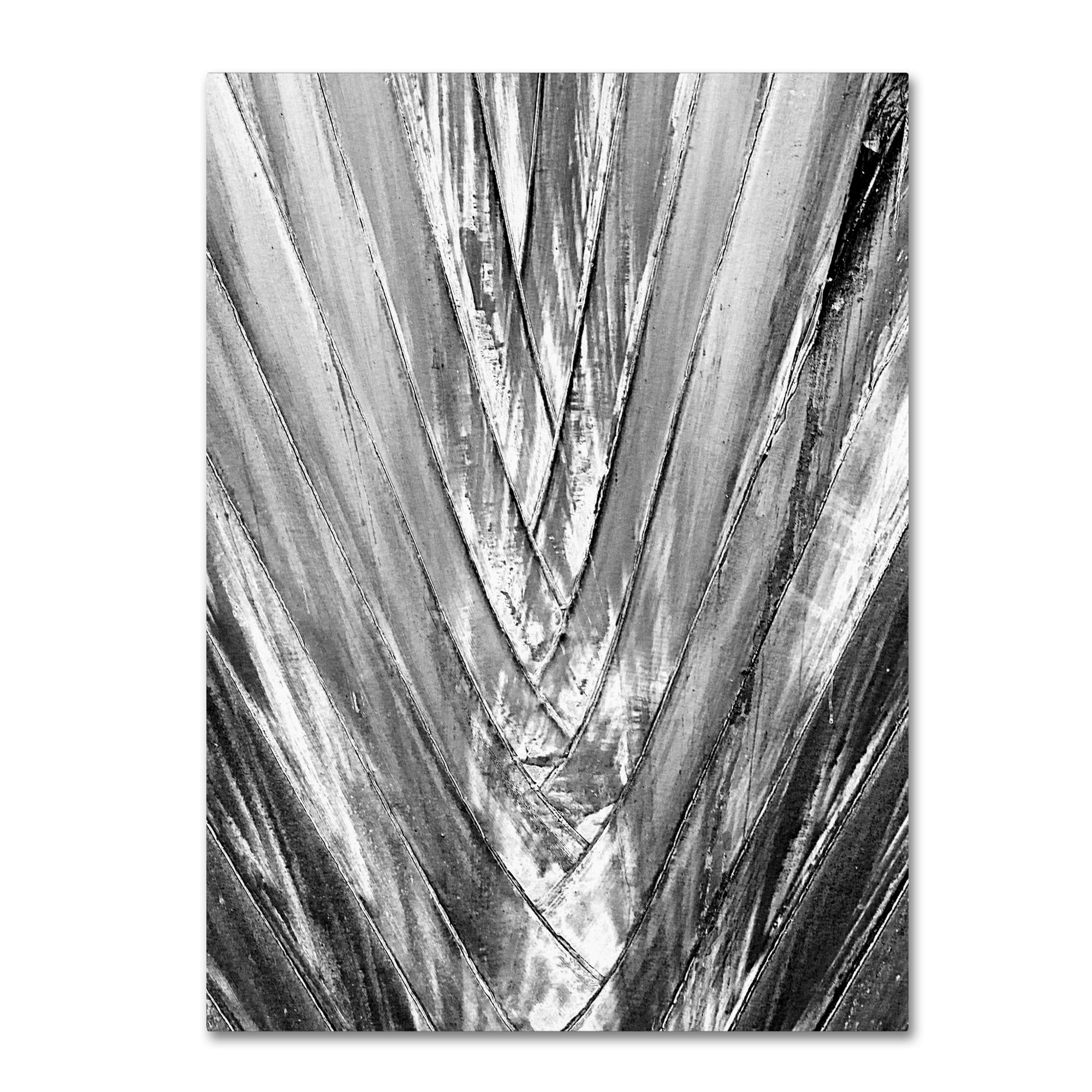 Abstract Black and White Palm Leaf Canvas Art, 15" x 20"