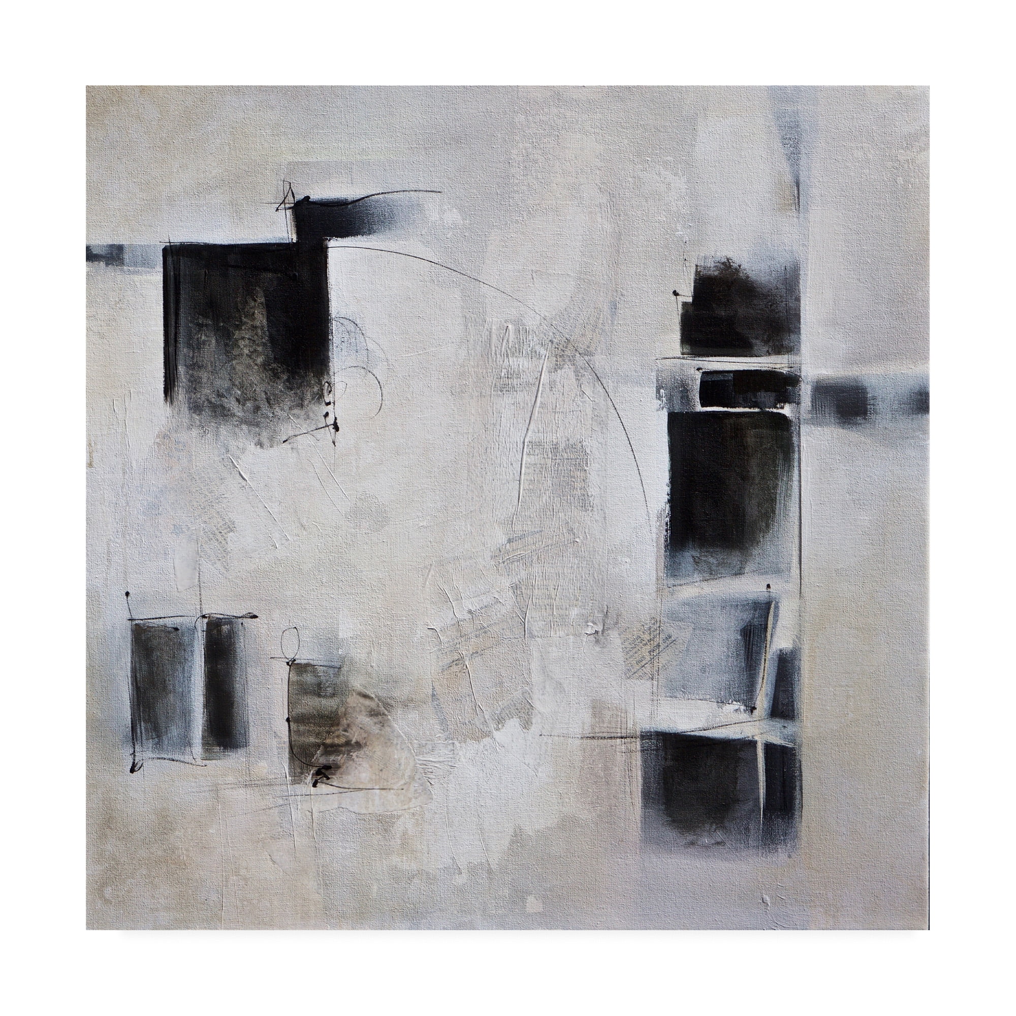 Trademark Fine Art 'Black and White and In Between' Canvas Art by Karen Hal