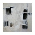 thumbnail image 1 of Trademark Fine Art 'Black and White and In Between' Canvas Art by Karen Hal, 1 of 3