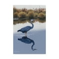 thumbnail image 1 of Trademark Fine Art 'Blackwater Reflections I' Canvas Art by Fred Szatkowski, 1 of 4