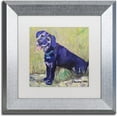 thumbnail image 1 of Trademark Fine Art "Blaze" Canvas Art by Pat Saunders-White, White Matte, Silver Frame, 1 of 1