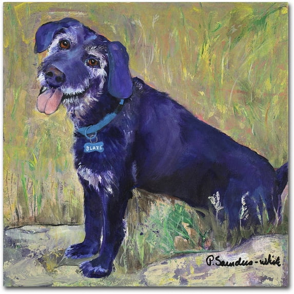 Trademark Fine Art "Blaze" Canvas Art by Pat Saunders-White