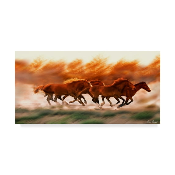 Trademark Fine Art 'Blazing Herd II' Canvas Art by David Drost