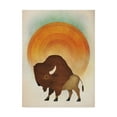 thumbnail image 1 of Trademark Fine Art 'Blazing Sun Bison' Canvas Art by Ryan Fowler, 1 of 3