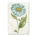 thumbnail image 1 of Trademark Fine Art 'Bloemen Boek VI' Canvas Art by Sue Schlabach, 1 of 3