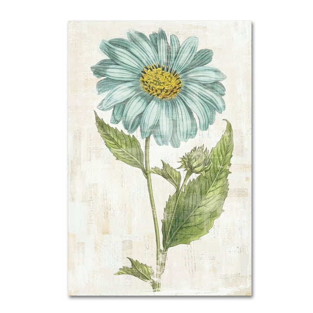 Trademark Fine Art 'Bloemen Boek VI' Canvas Art by Sue Schlabach
