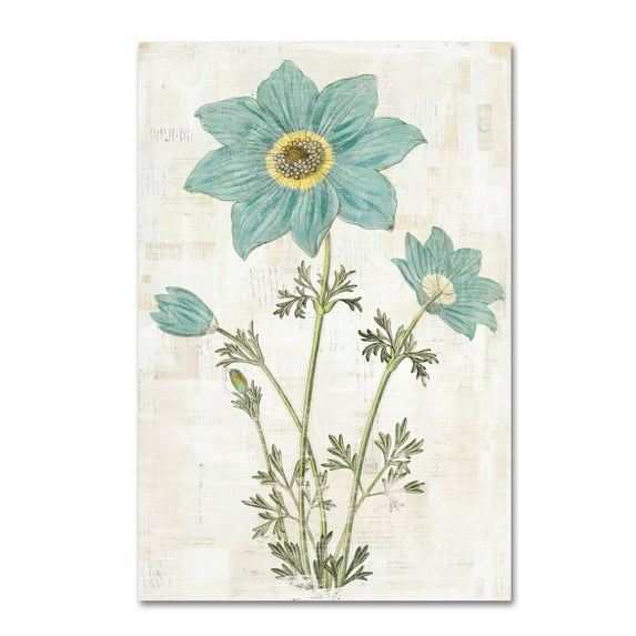 Trademark Fine Art 'Bloemen Boek VII' Canvas Art by Sue Schlabach