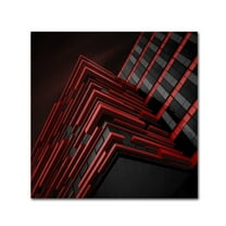 Trademark Fine Art 'Blood Stream' Canvas Art by Nadav Jonas