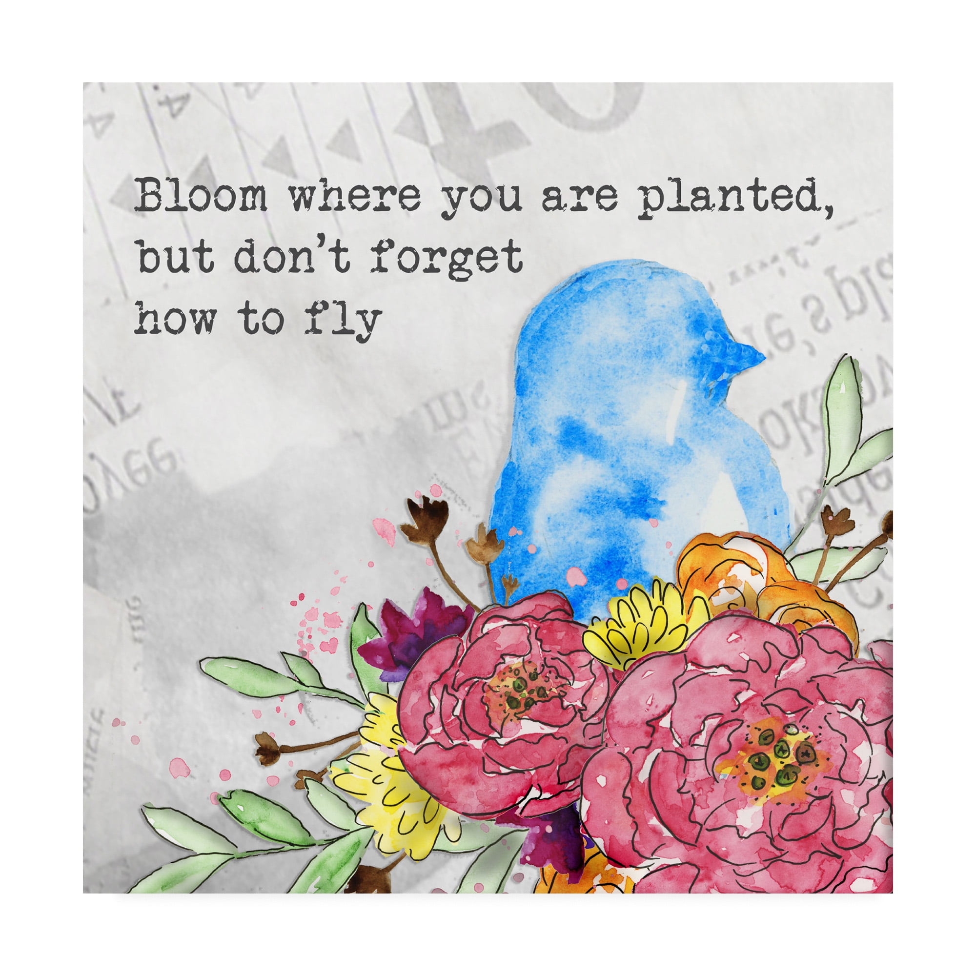 Trademark Fine Art 'Bloom & Fly II' Canvas Art by Catherine McGuire