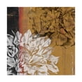 thumbnail image 1 of Trademark Fine Art 'Bloom Illusion I' Canvas Art by Jennifer Goldberger, 1 of 4
