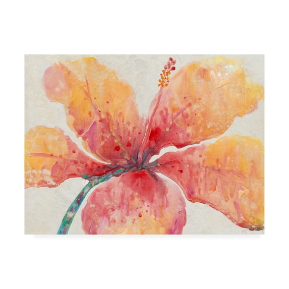 Trademark Fine Art 'Blooming Hibiscus' Canvas Art by Tim OToole